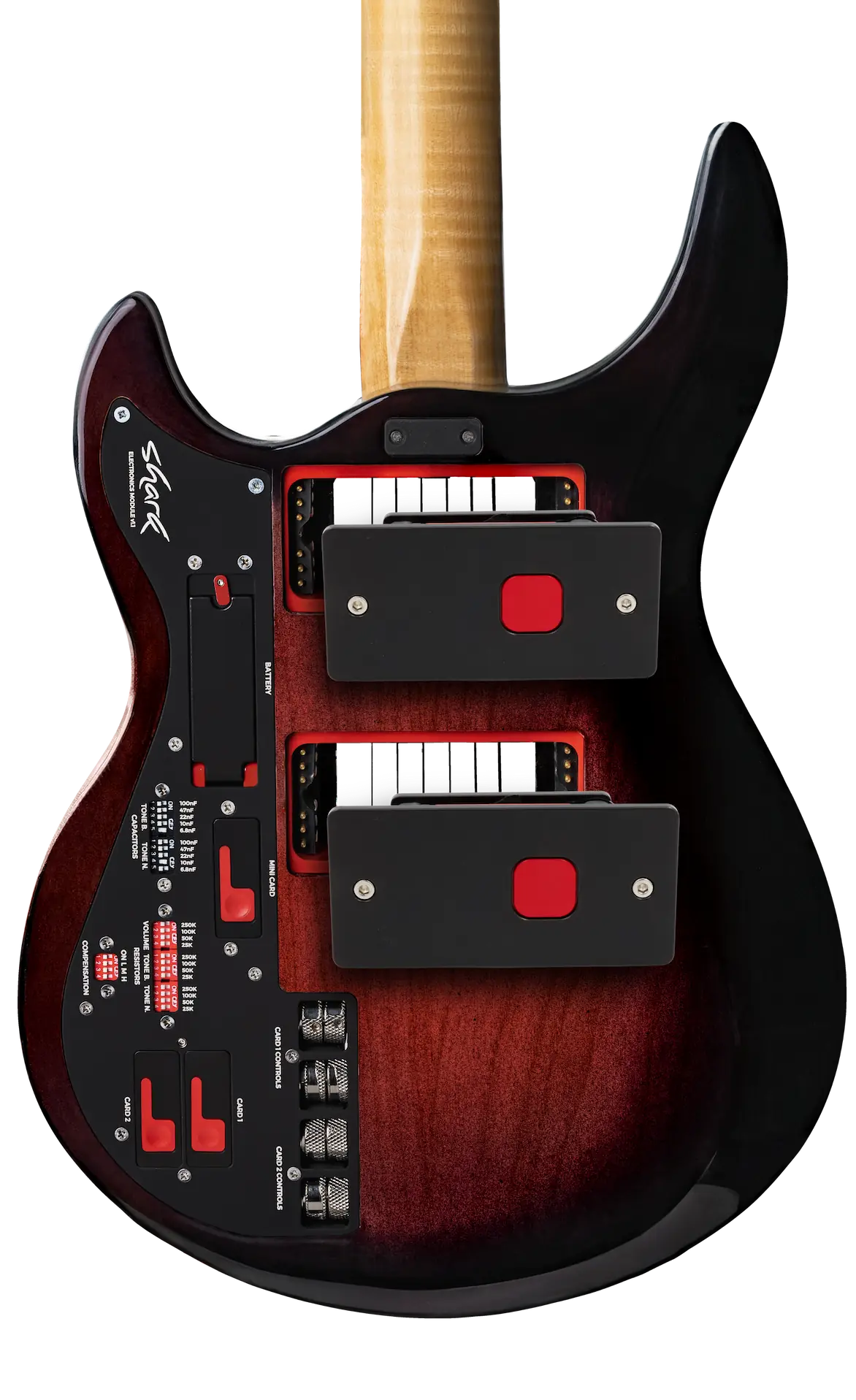 Pickup module slots and 2 pickup modules