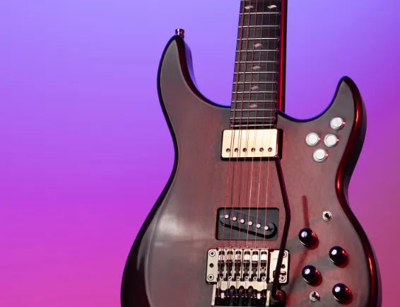 Electric Guitars Store Page Select