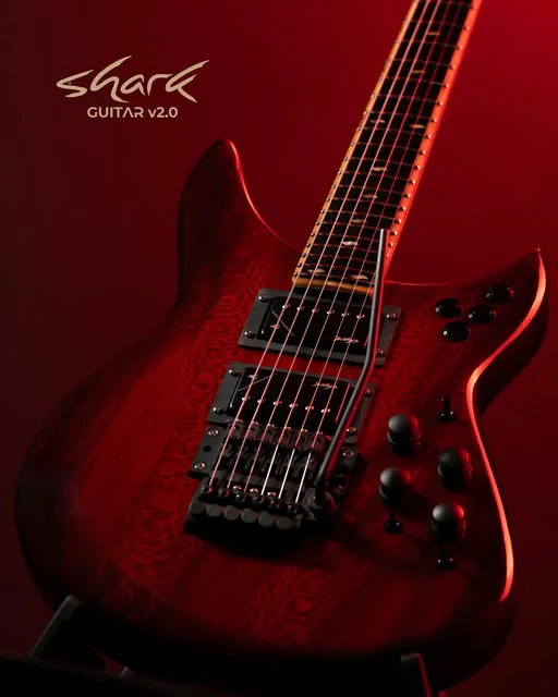ELECTRIC GUITARS category visual