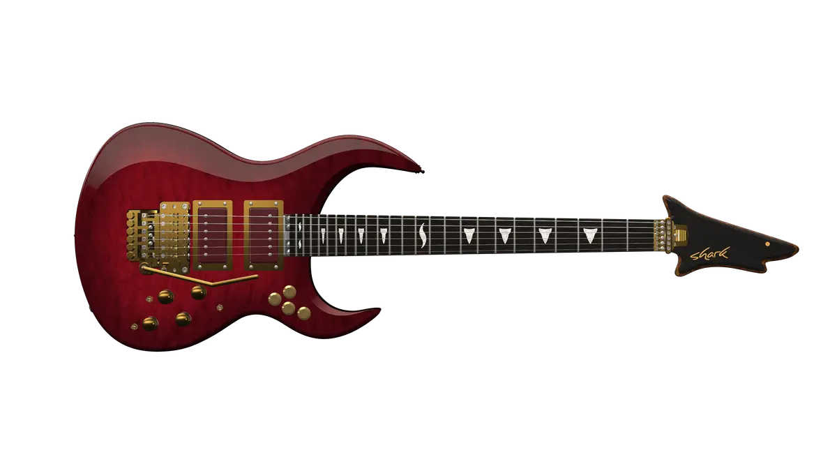 MS - DRAGON