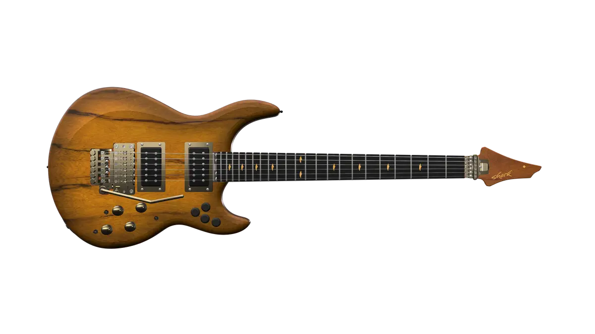 TS - LIMBA