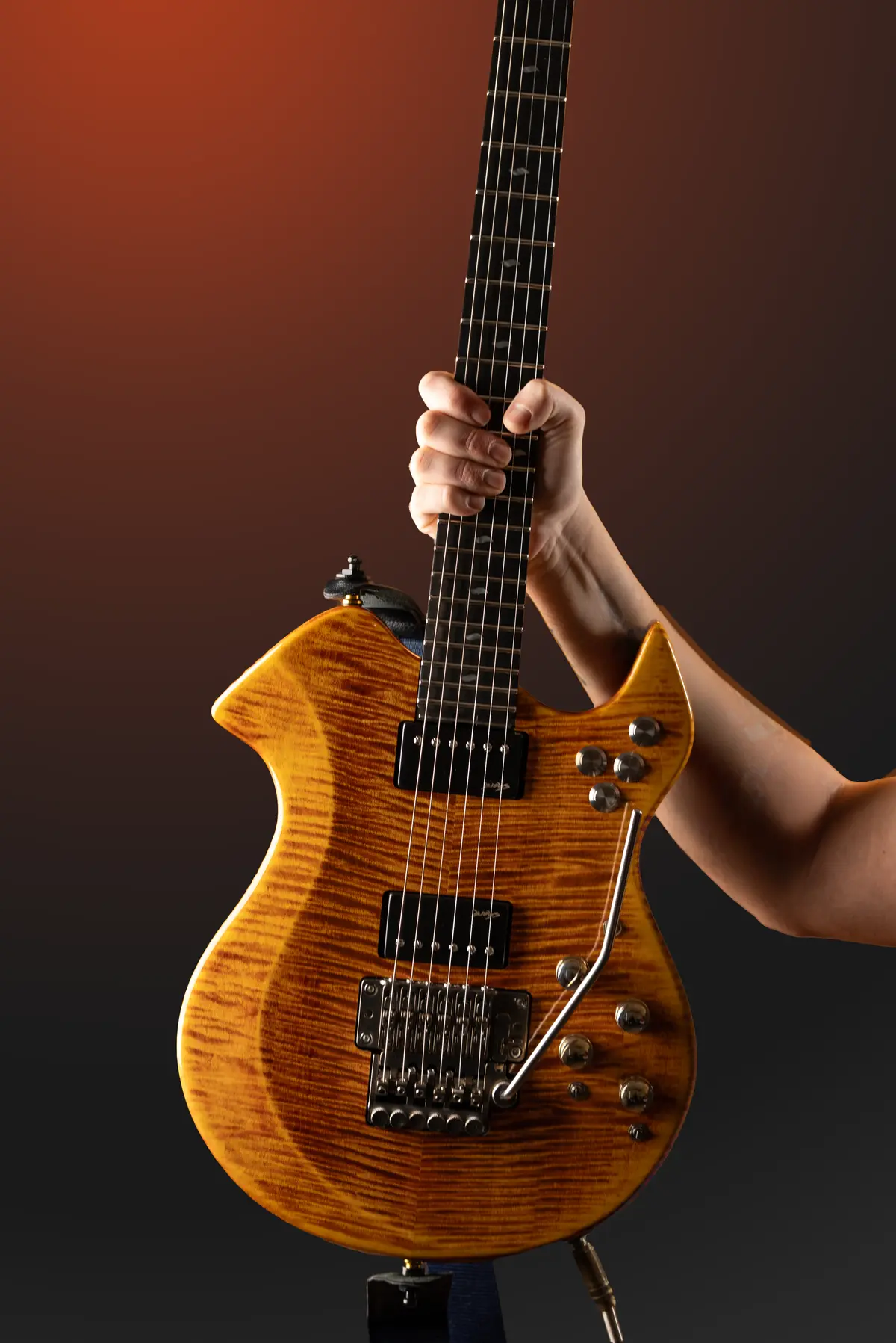 Shark Guitar Care: The Few Rules That Matter