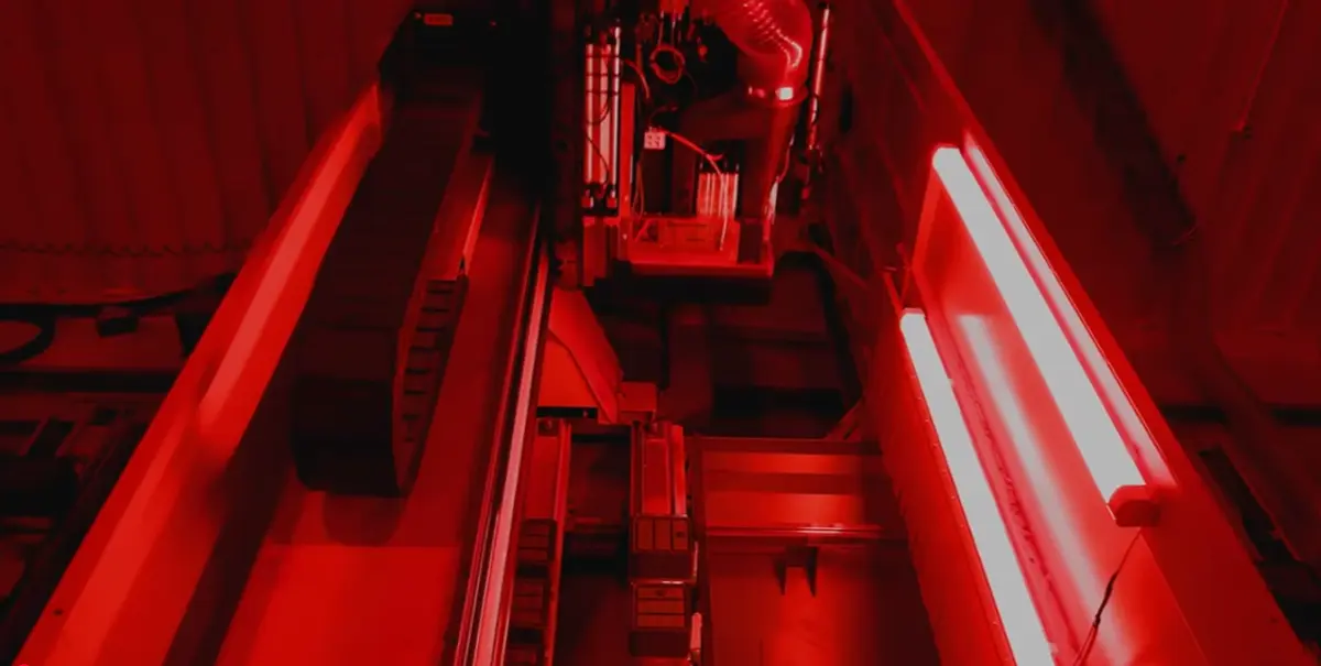 Inside the Shark Factory